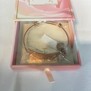 And So the Adventure Begins 18K pltd Rose Gold Bangle Bracelet Frederick James